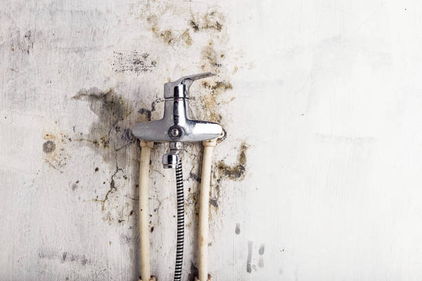 Trusted Luther, OK Mold Remediation Experts