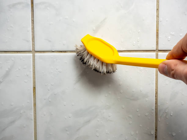 Best Health and Safety Mold Remediation in Luther, OK