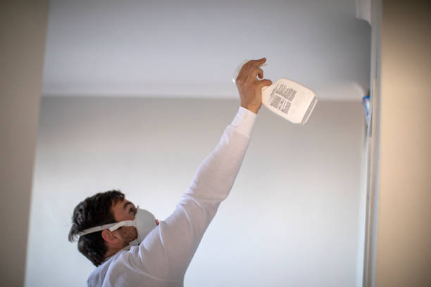 Best Preventive Mold Services in Luther, OK